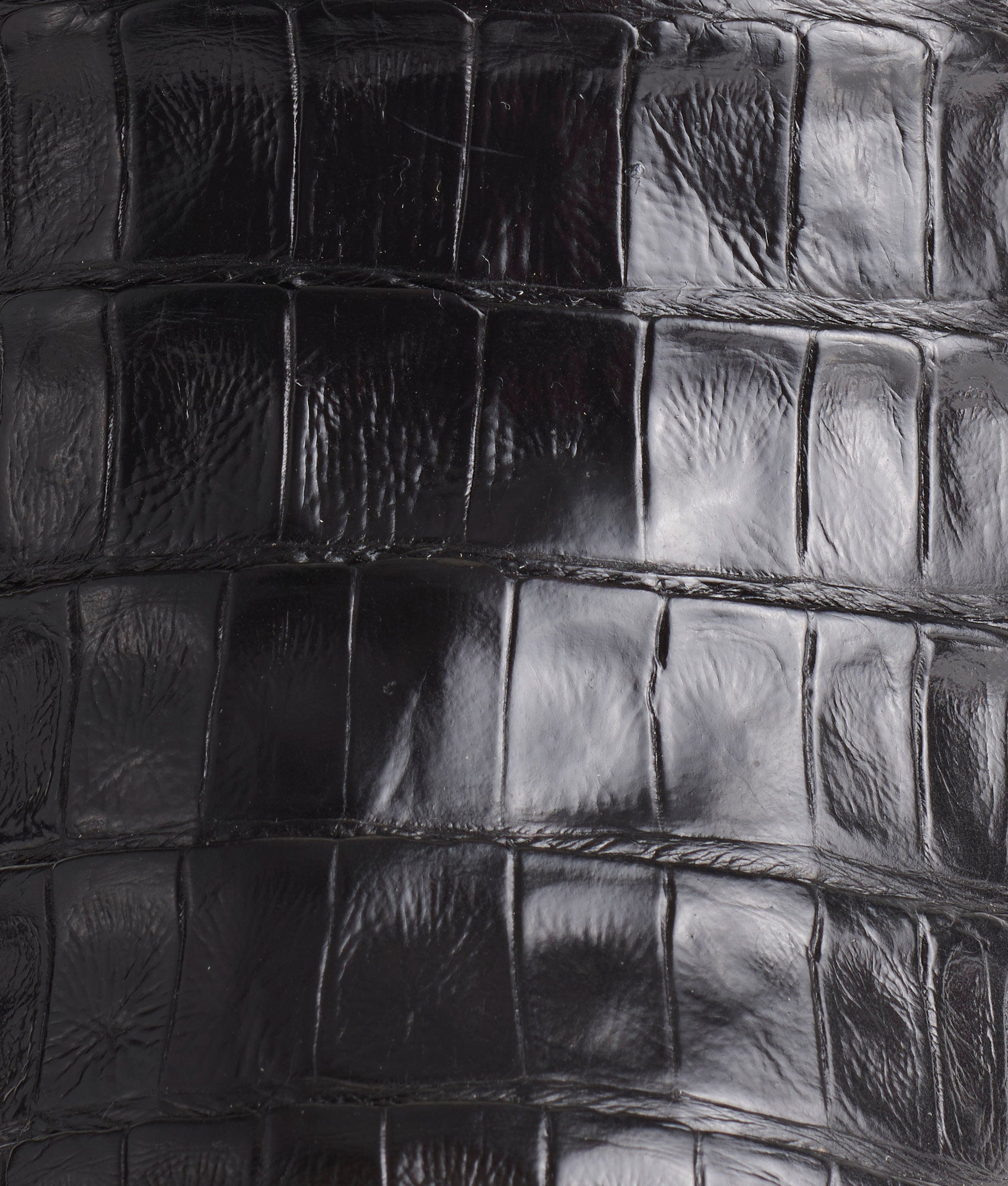 Trent :: Black - Image 8