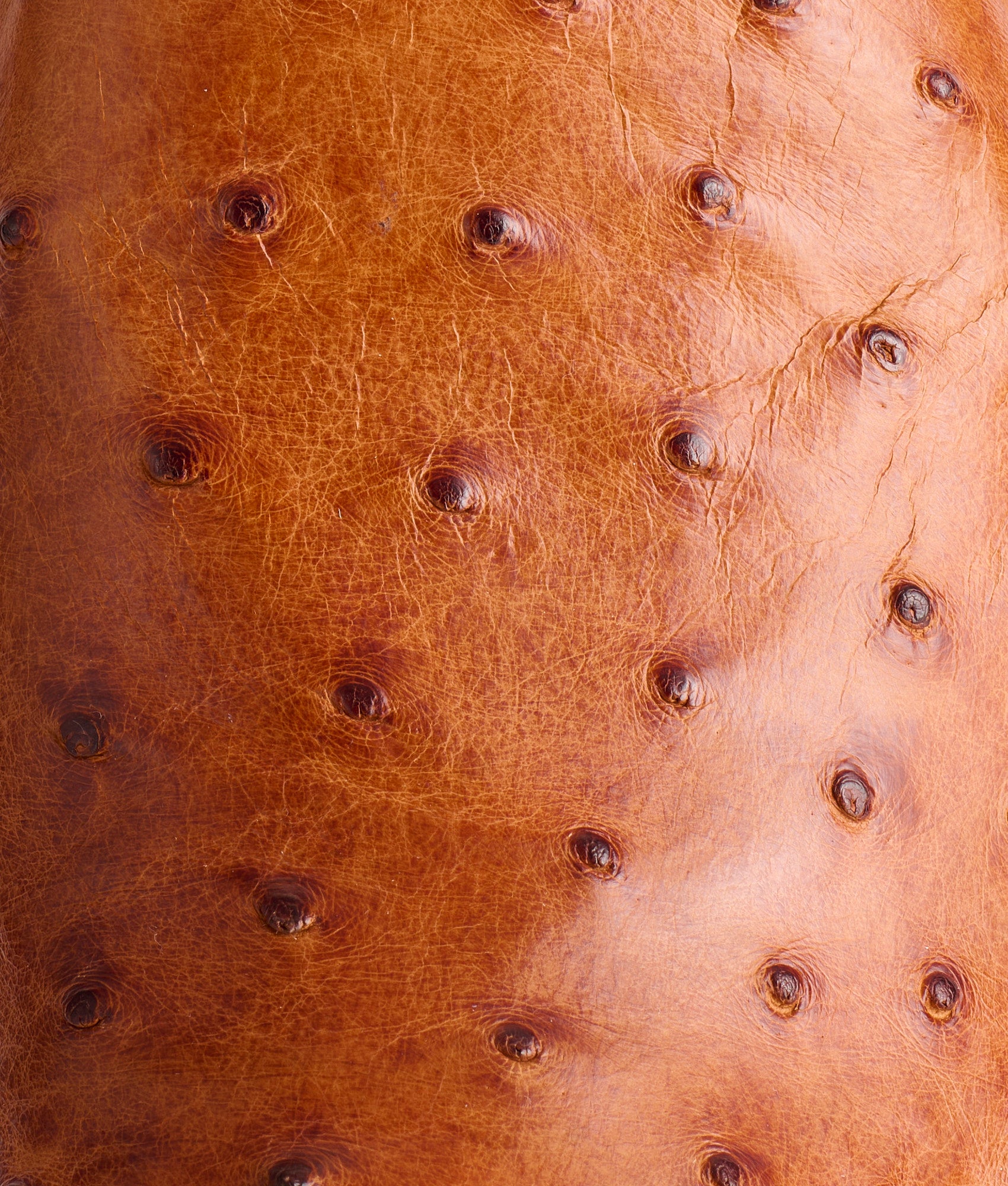 The Bevo :: Barnwood - Image 8