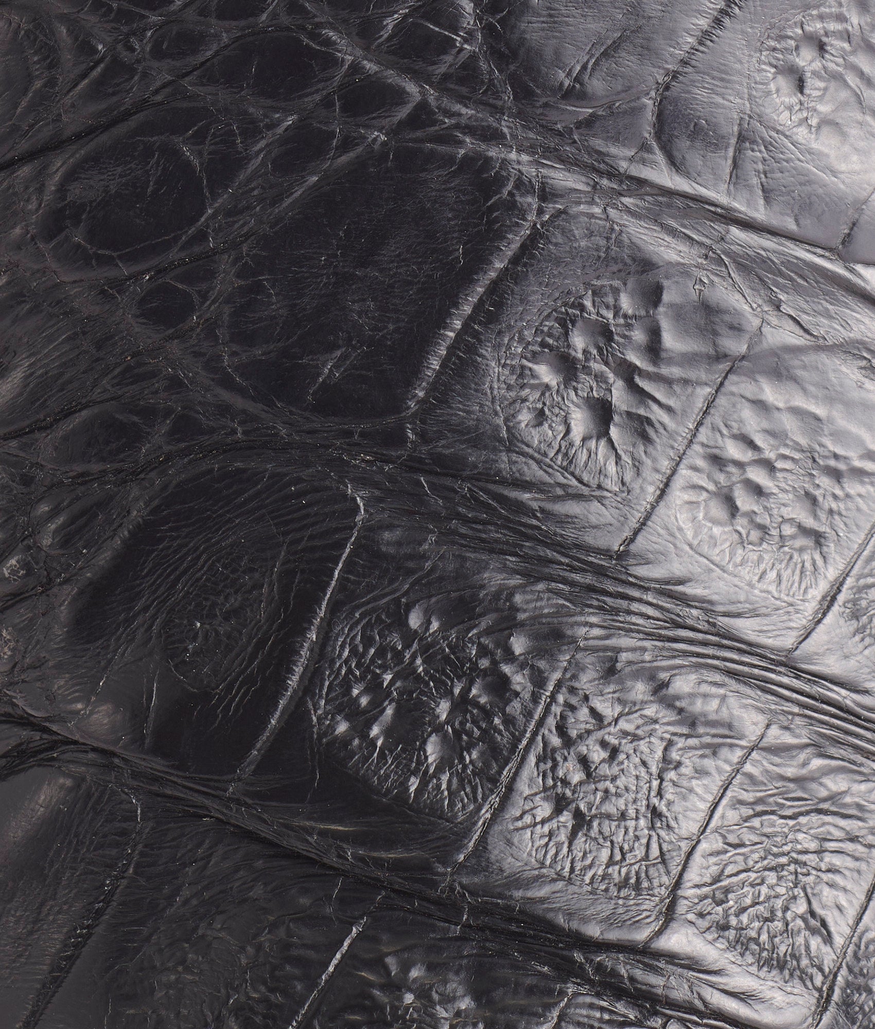 Bryan Exotic :: Black + Olive - Image 8