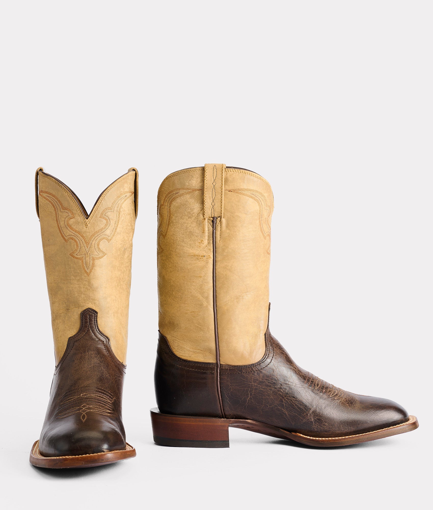 Martin :: Chocolate - Image 2