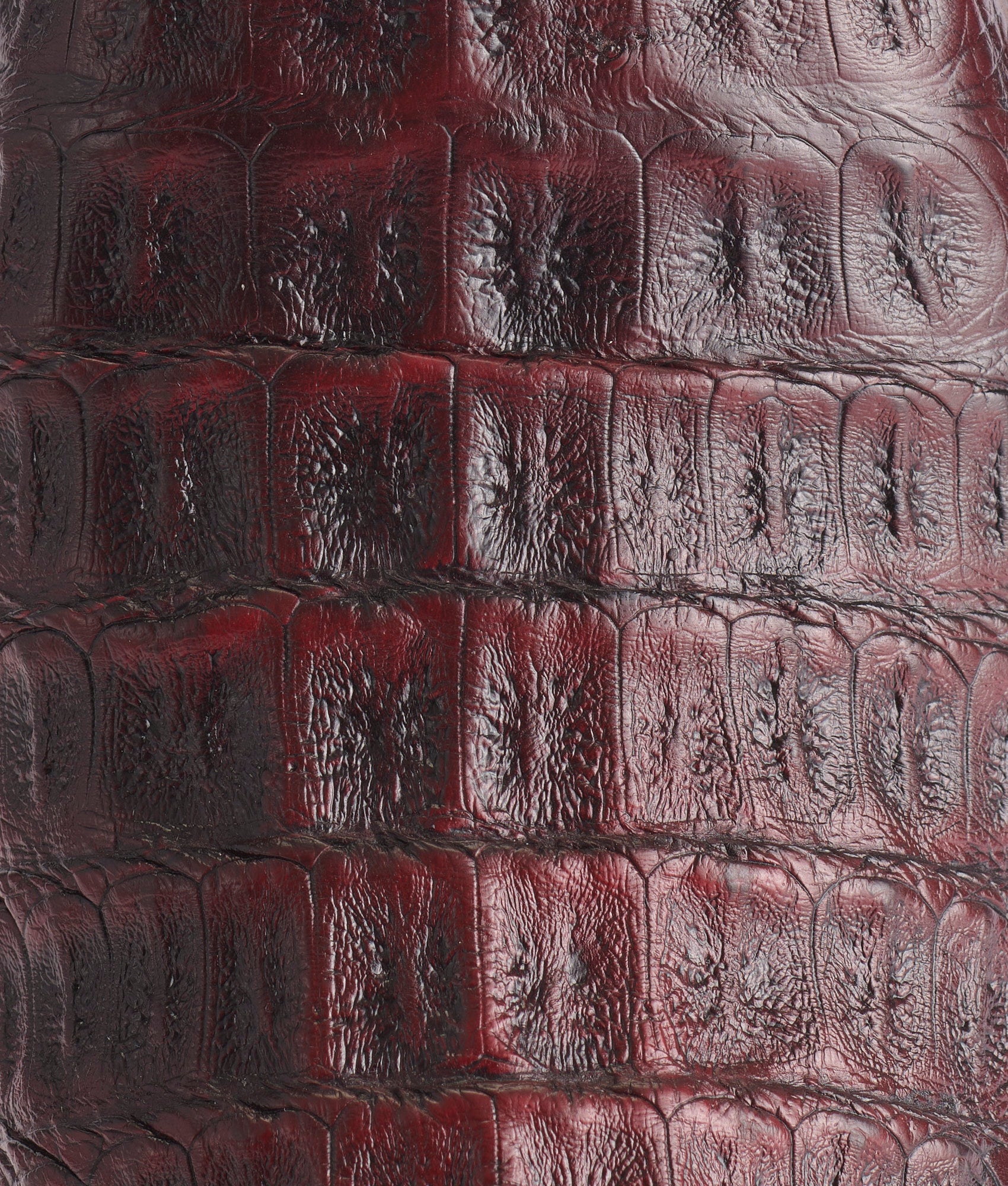 Brynlee Exotic :: Black Cherry - Image 8