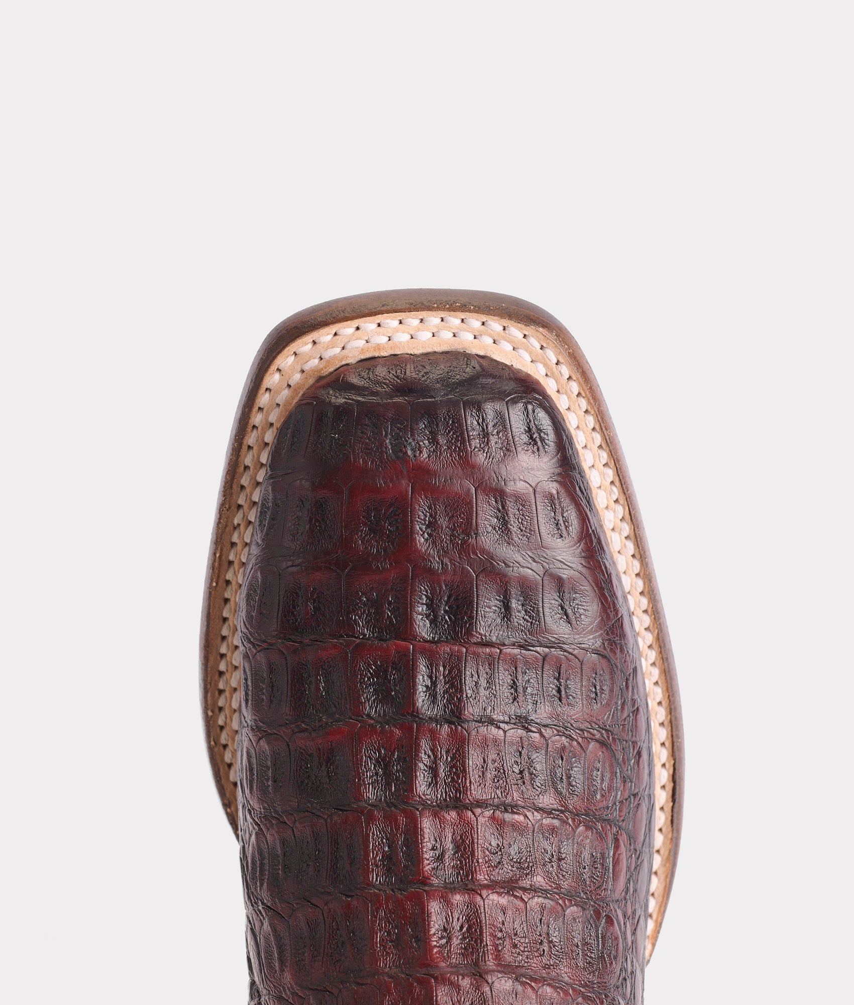 Brynlee Exotic :: Black Cherry - Image 7