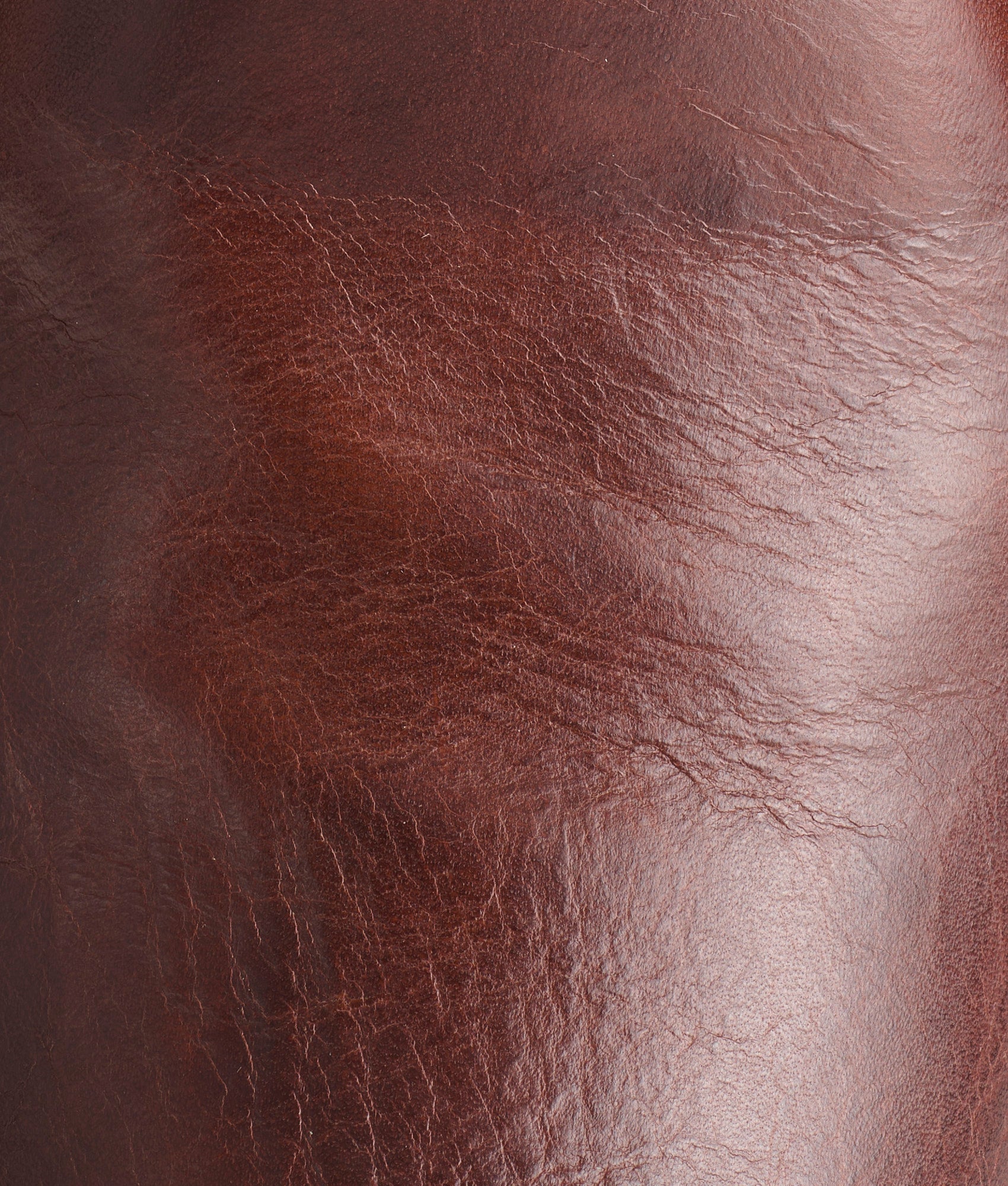 Sunset Roper :: Tan Ranch Hand - Image 9