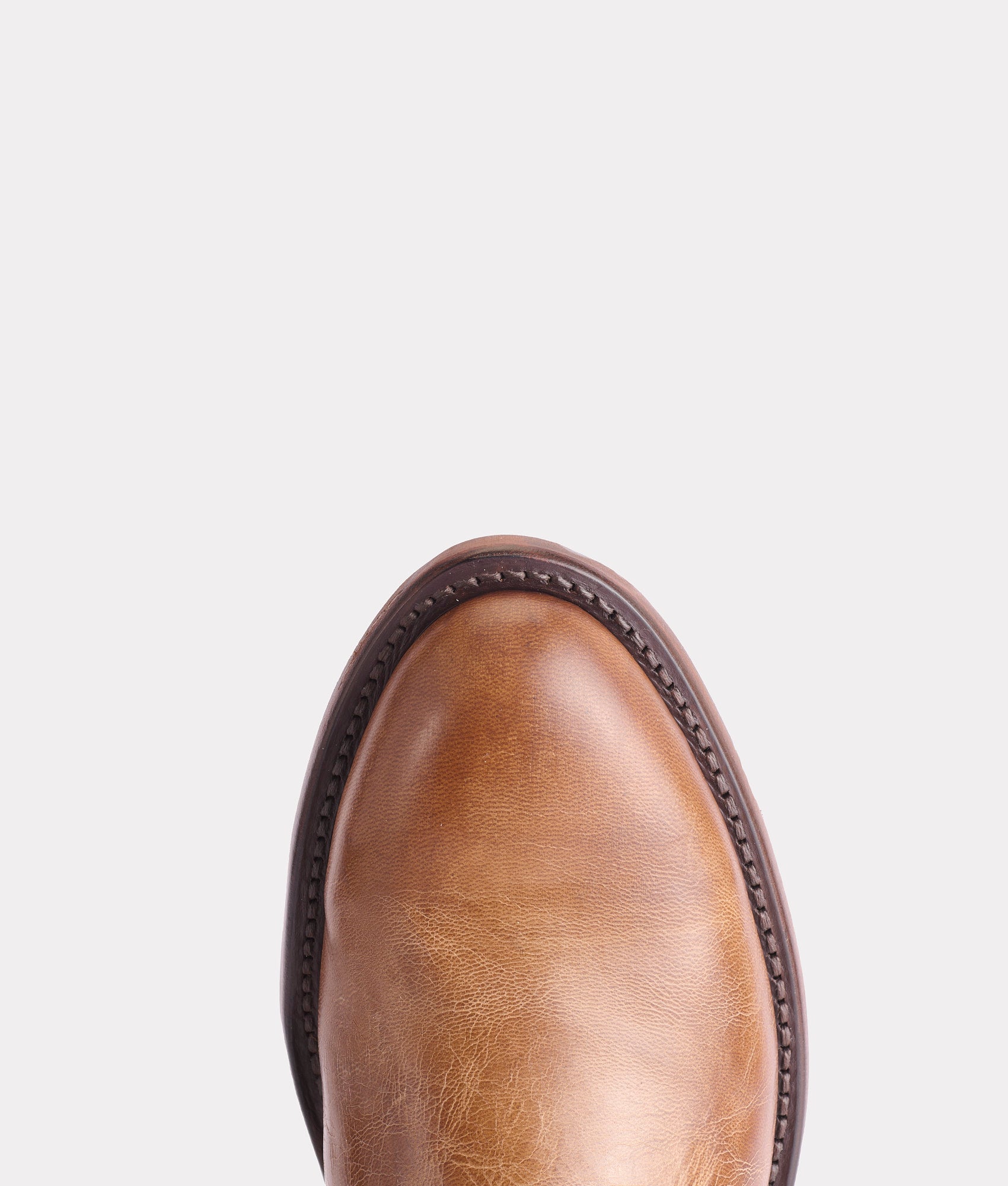 Sunset Roper :: Tan Goat - Image 9