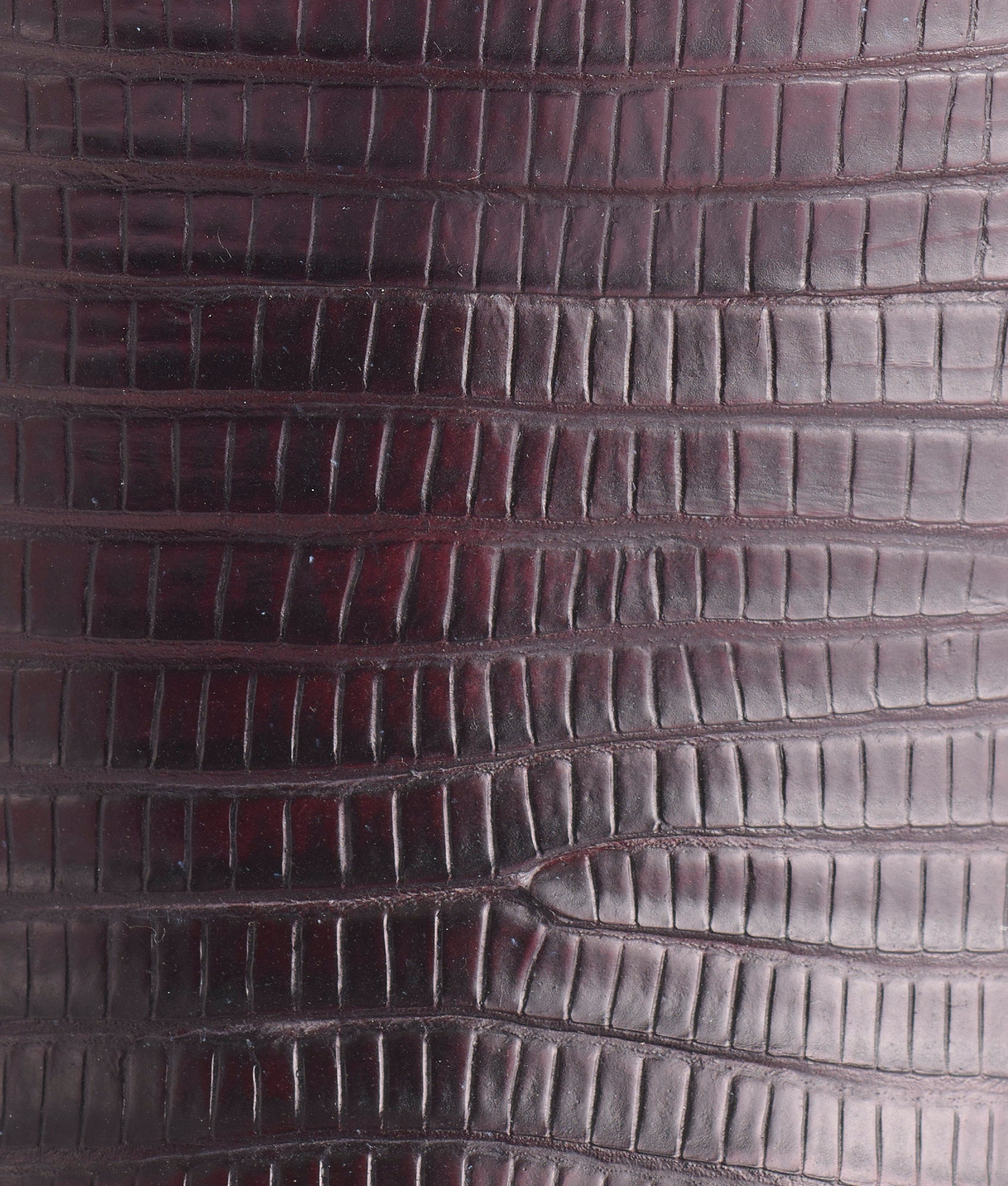 Kip :: Black Cherry - Image 8