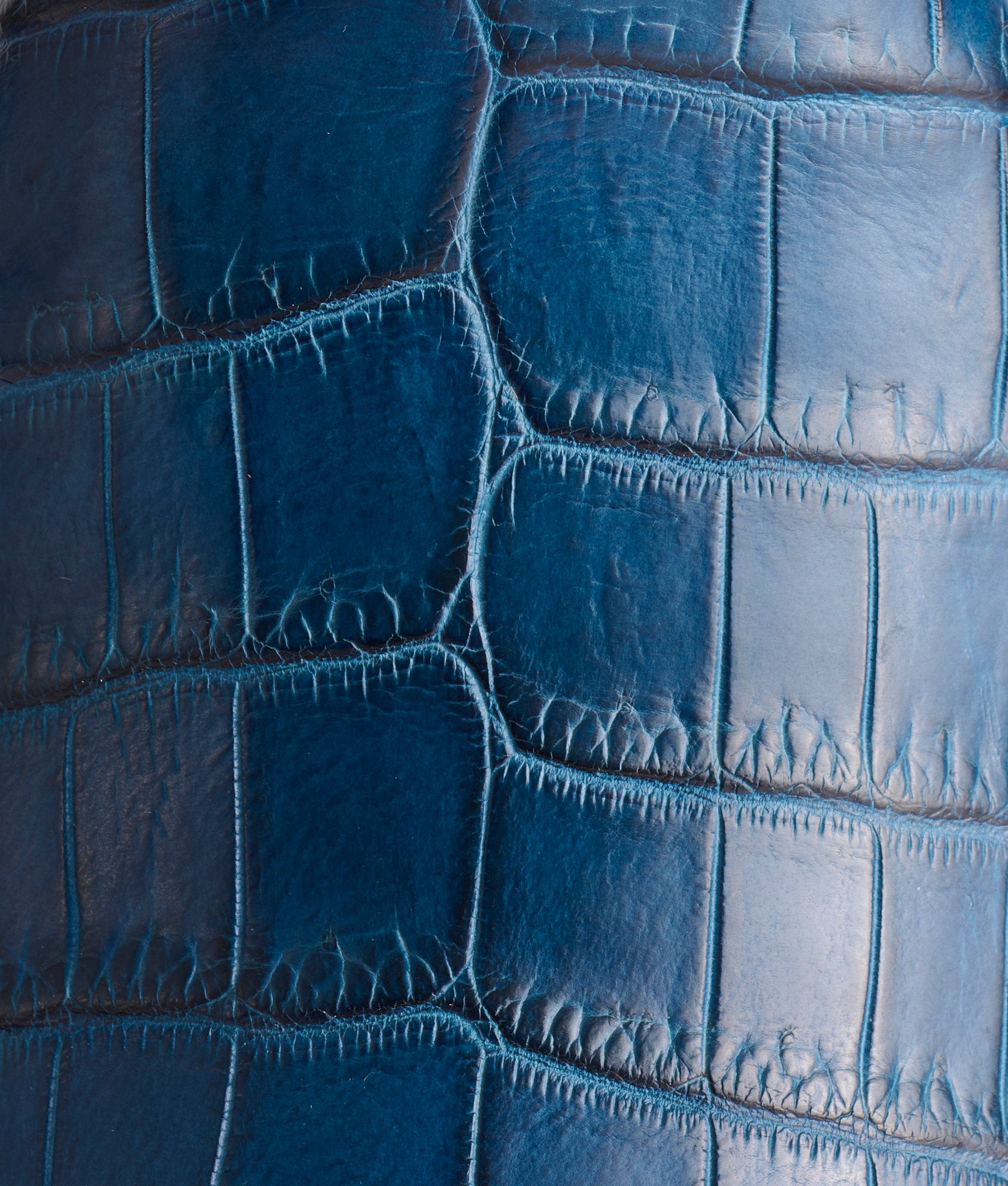 Tulip Exotic :: Navy - Image 6