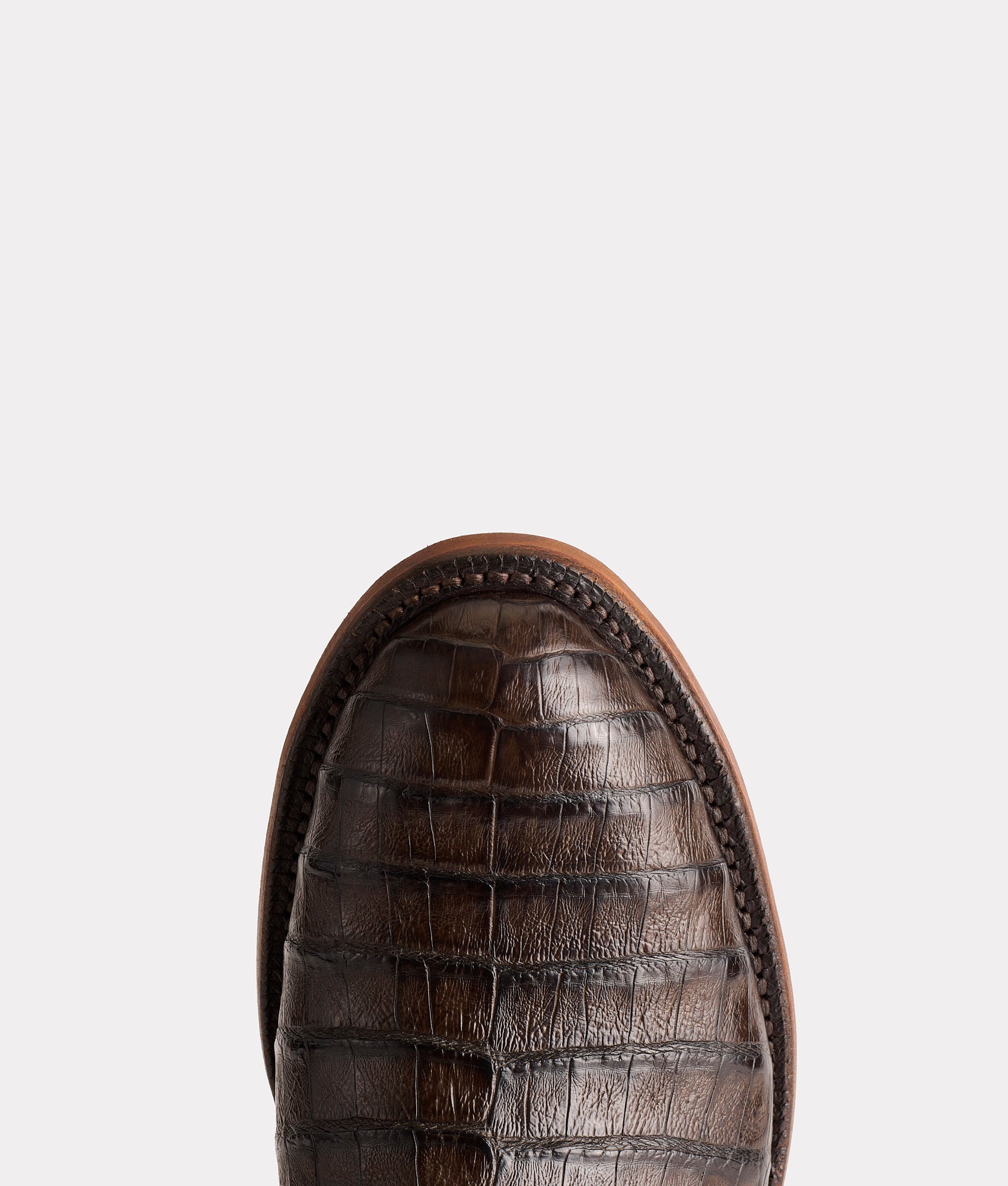 Wilson :: Chocolate - Image 6