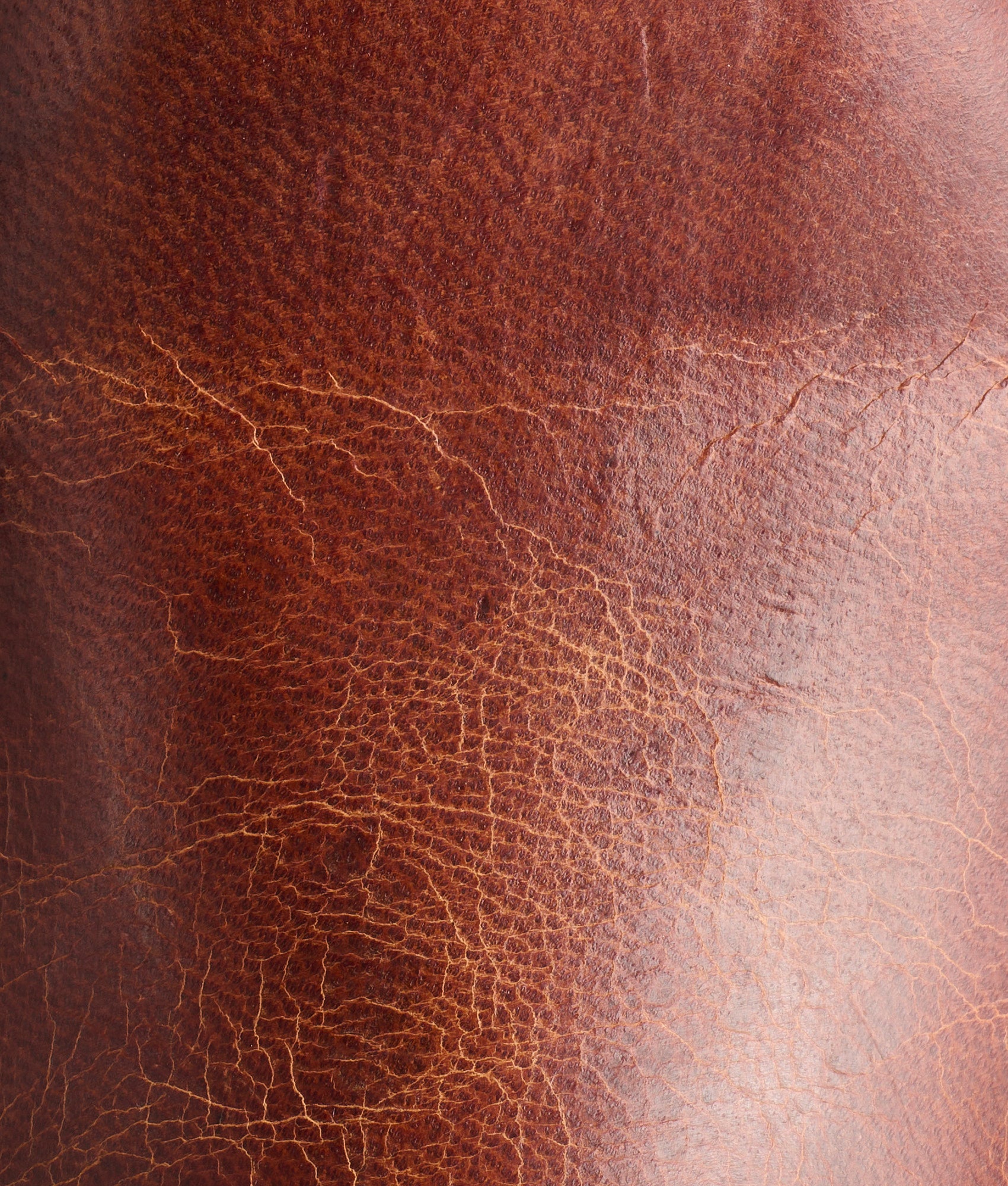 Tanner :: Peanut Brittle - Image 3