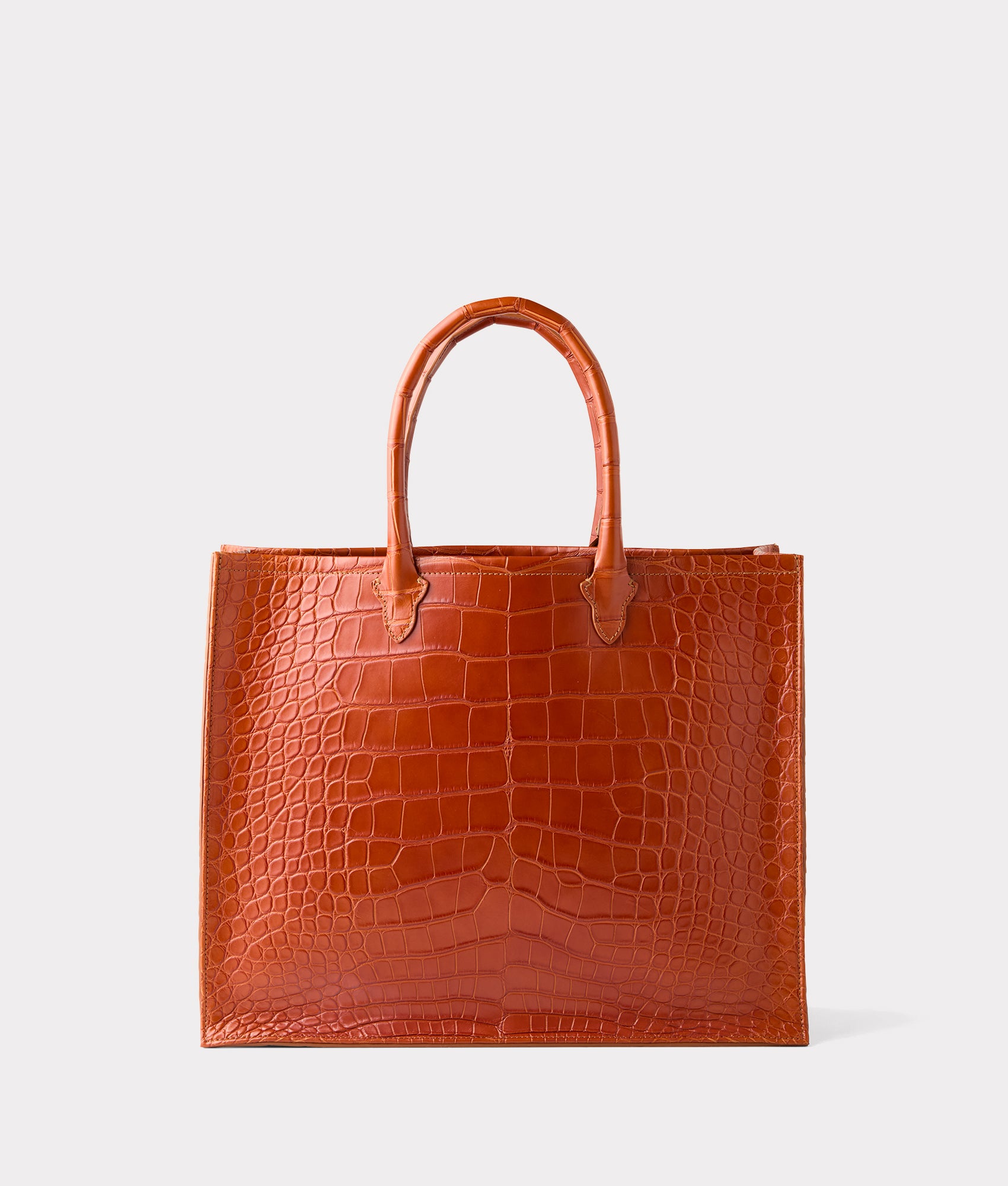 Large Alice Exotic Book Tote :: Honey - Image 6