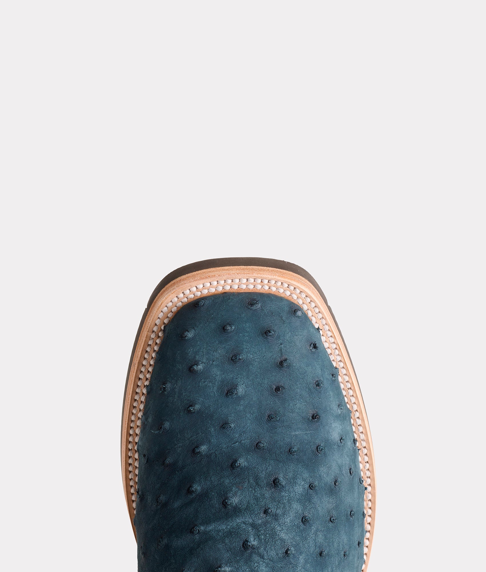 Rowdy Ostrich :: Navy - Image 6