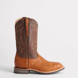 Rowdy Ostrich :: Cognac + Brown