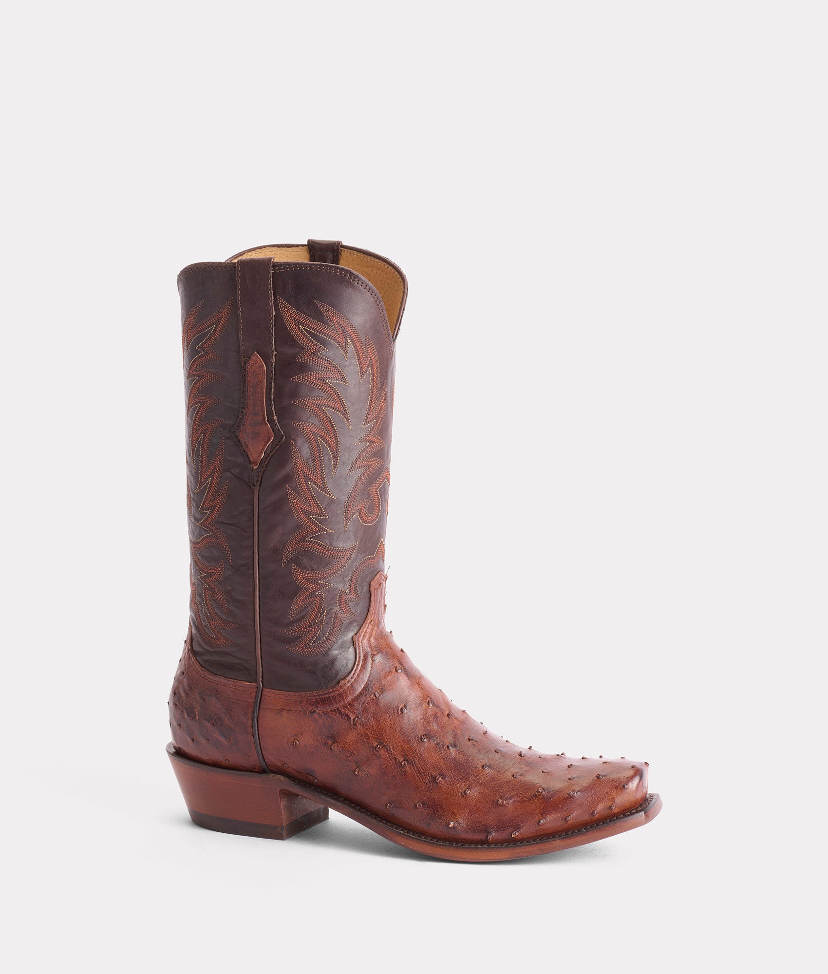 Elgin :: Chocolate - Image 5