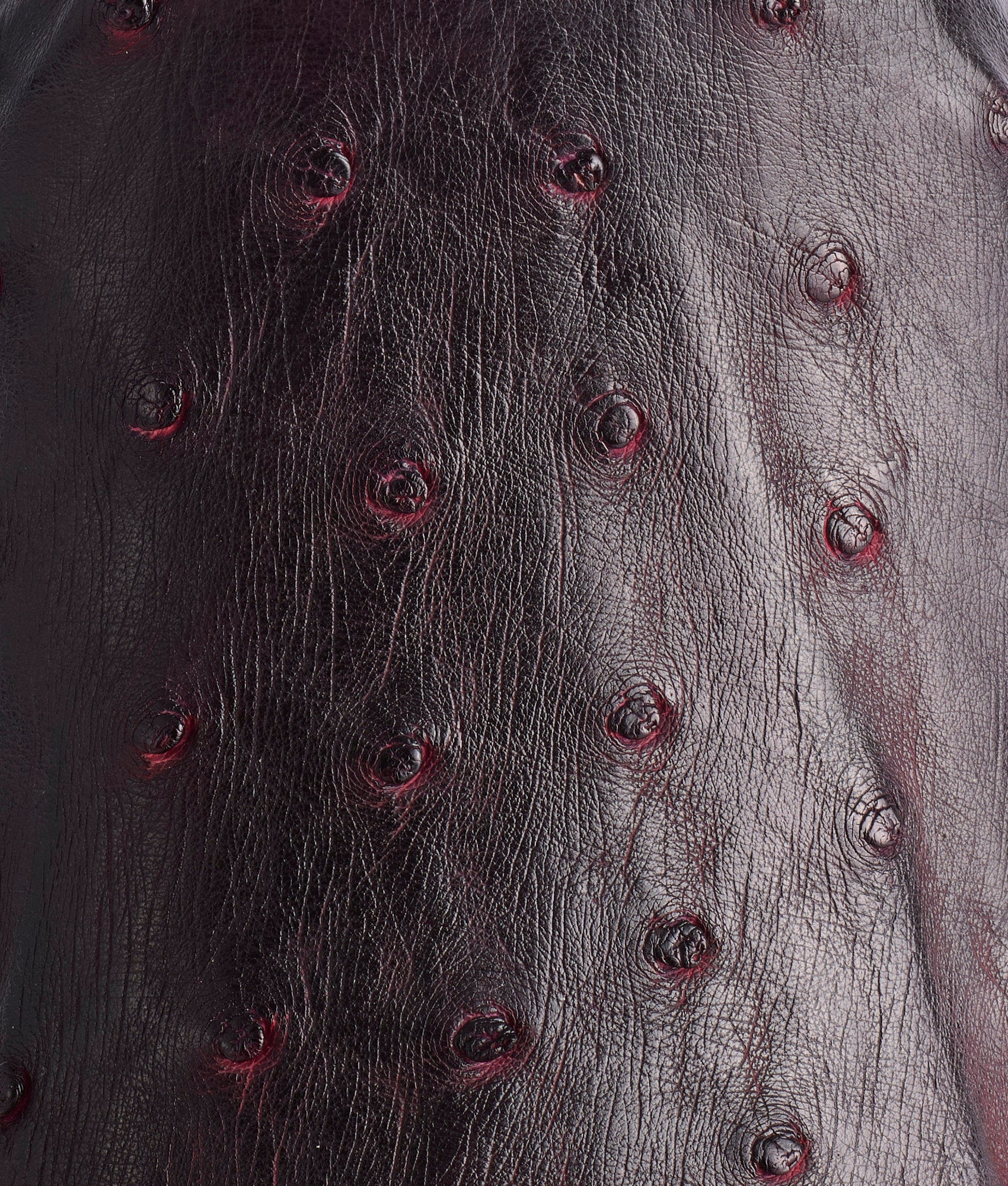 Elgin :: Black Cherry + Black - Image 8