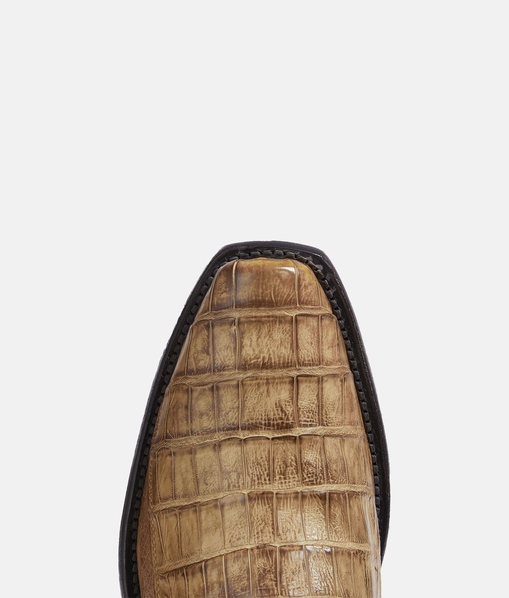 Douglas :: Tan Waxy - Image 7