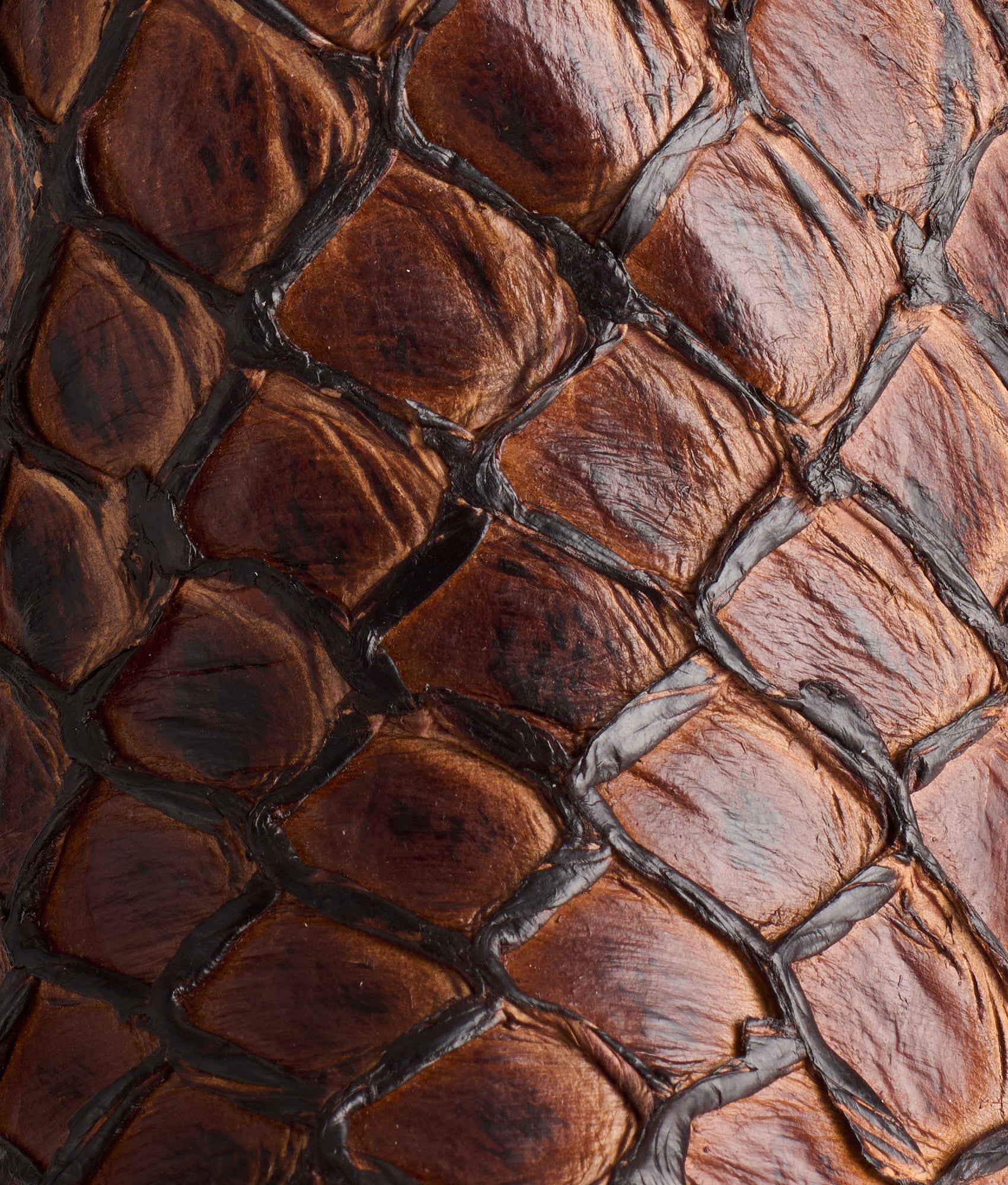 Narcisso :: Chocolate - Image 7