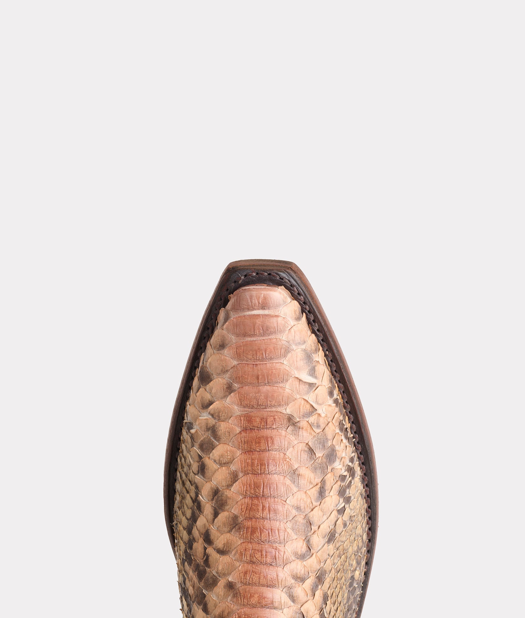 Loveless :: Tan - Image 6