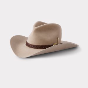 Palomino Holy Paw :: Sahara