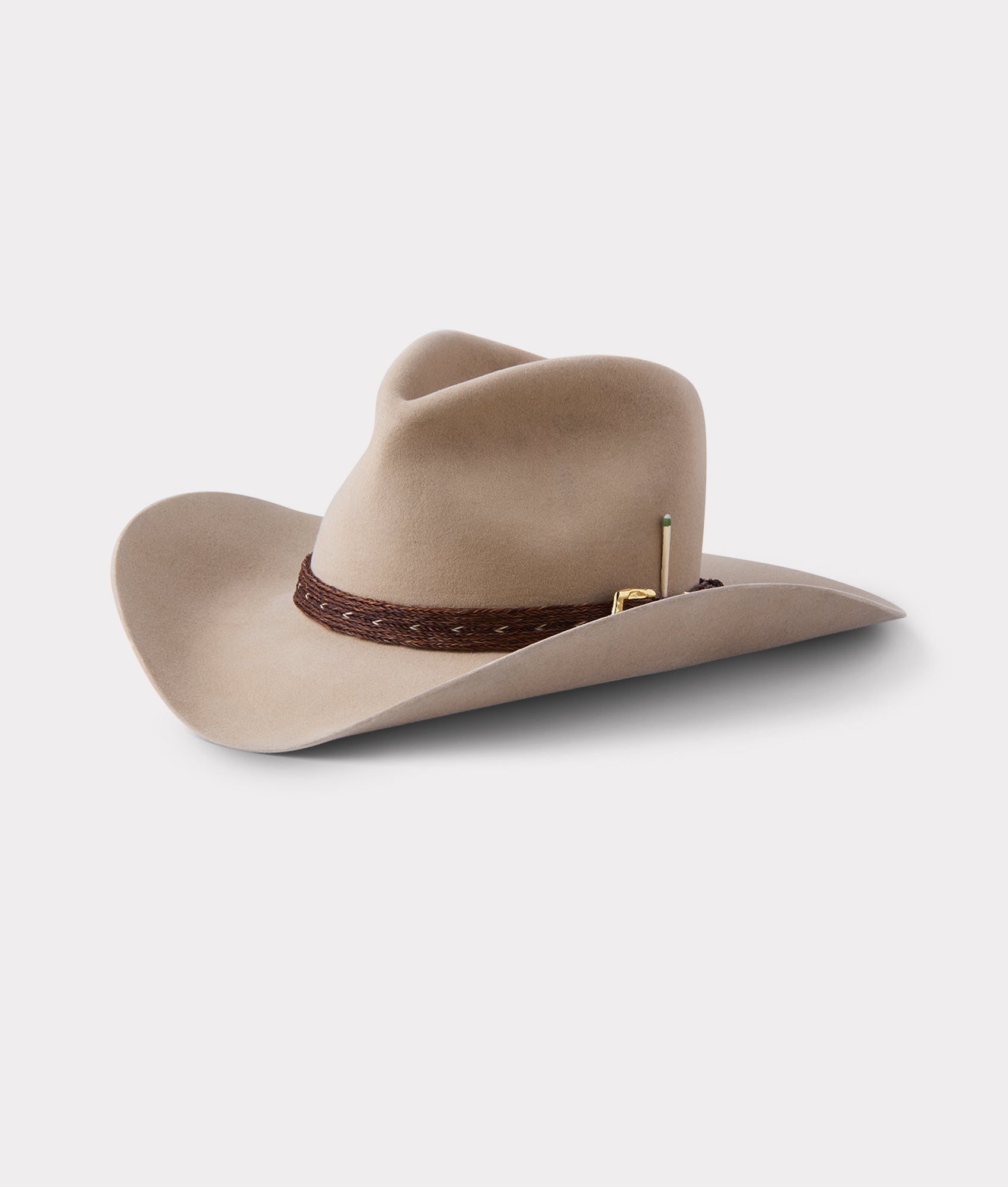 Palomino Holy Paw :: Sahara