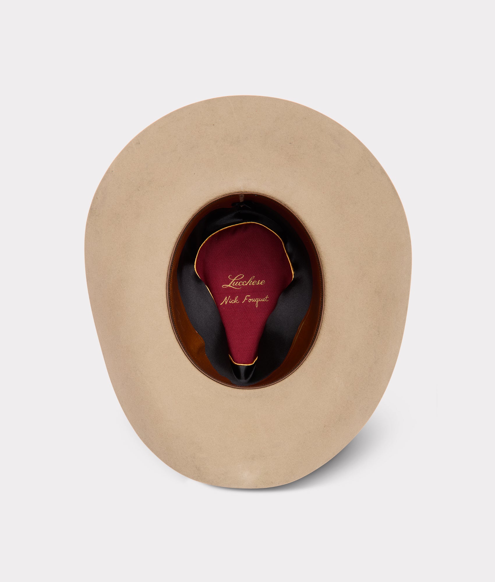 Palomino Holy Paw :: Sahara - Image 5