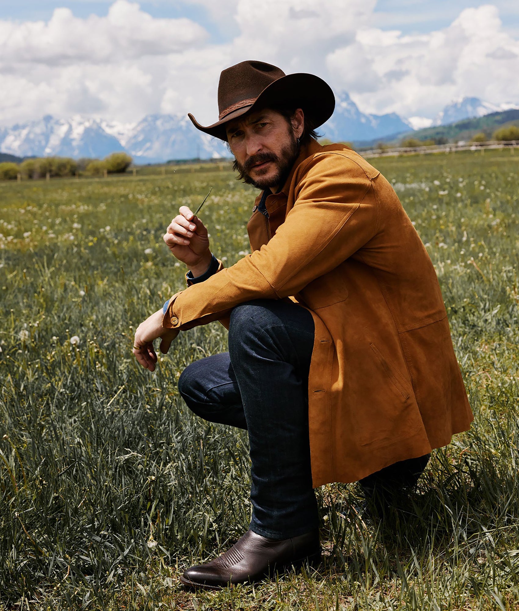 Collins :: Chocolate - Image 2