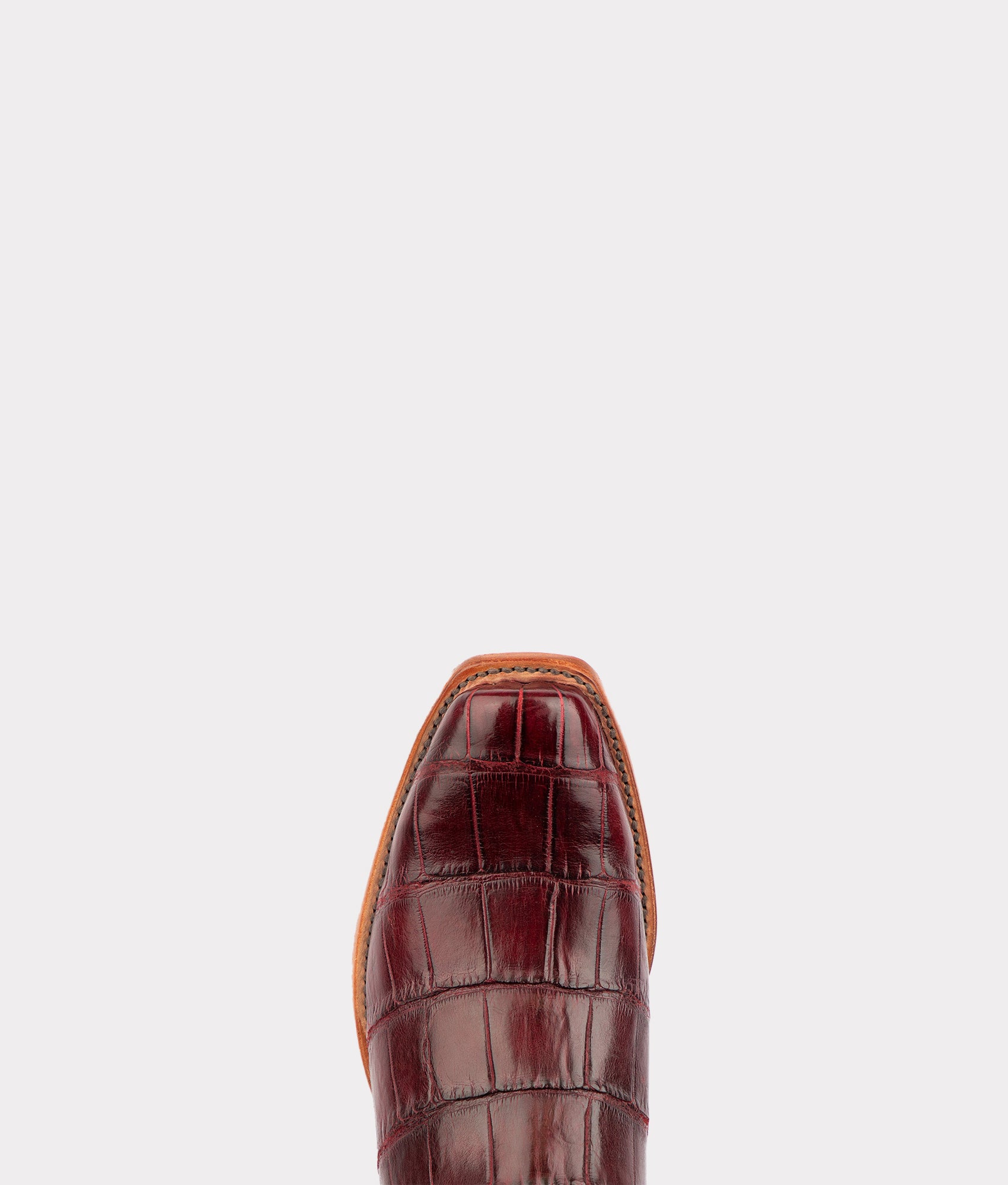 Cibolo :: Bordeaux - Image 6