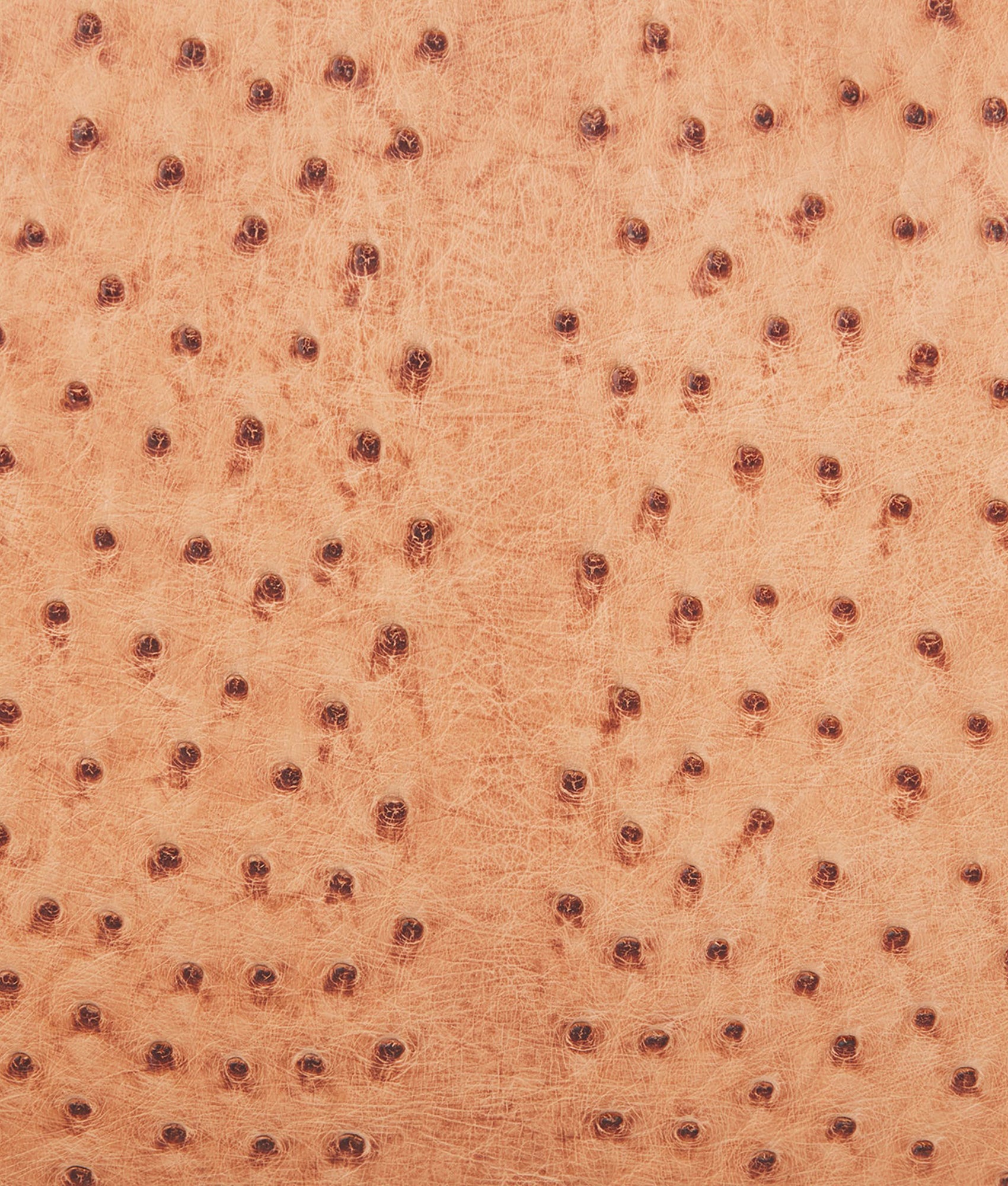 Ostrich Duffle - Large :: Cognac - Image 11