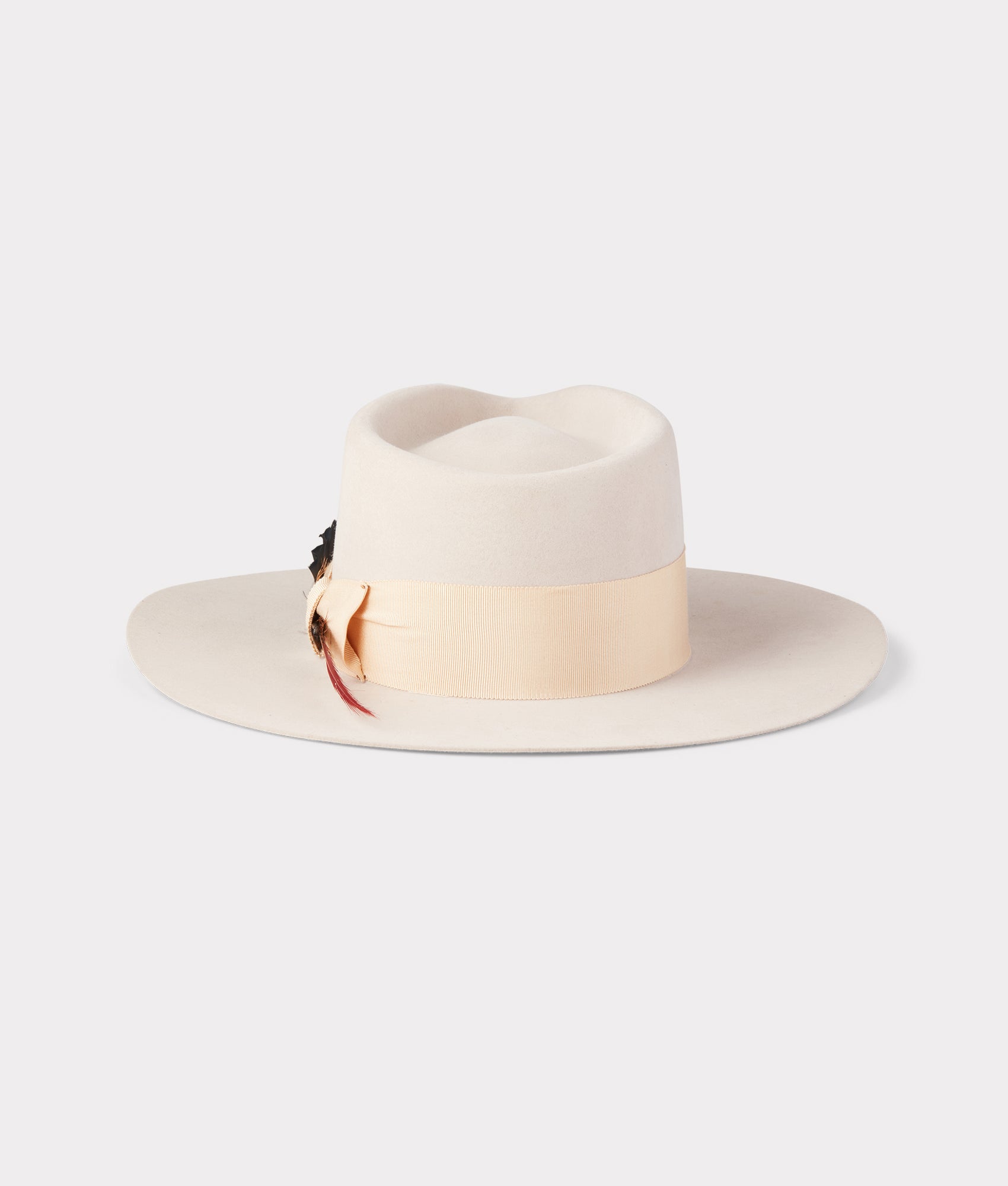 The Capitol :: Silverbelly - Image 7