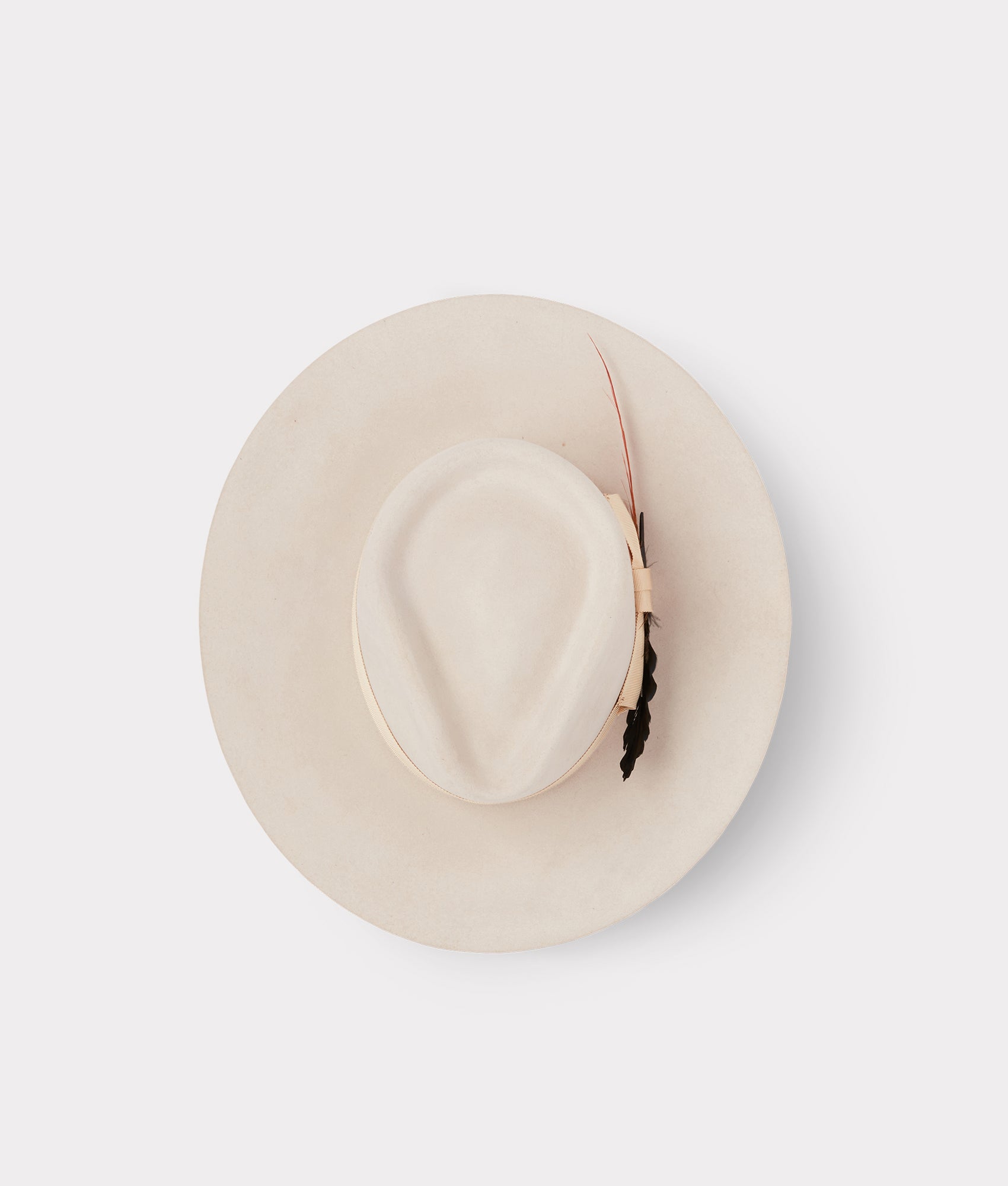 The Capitol :: Silverbelly - Image 9