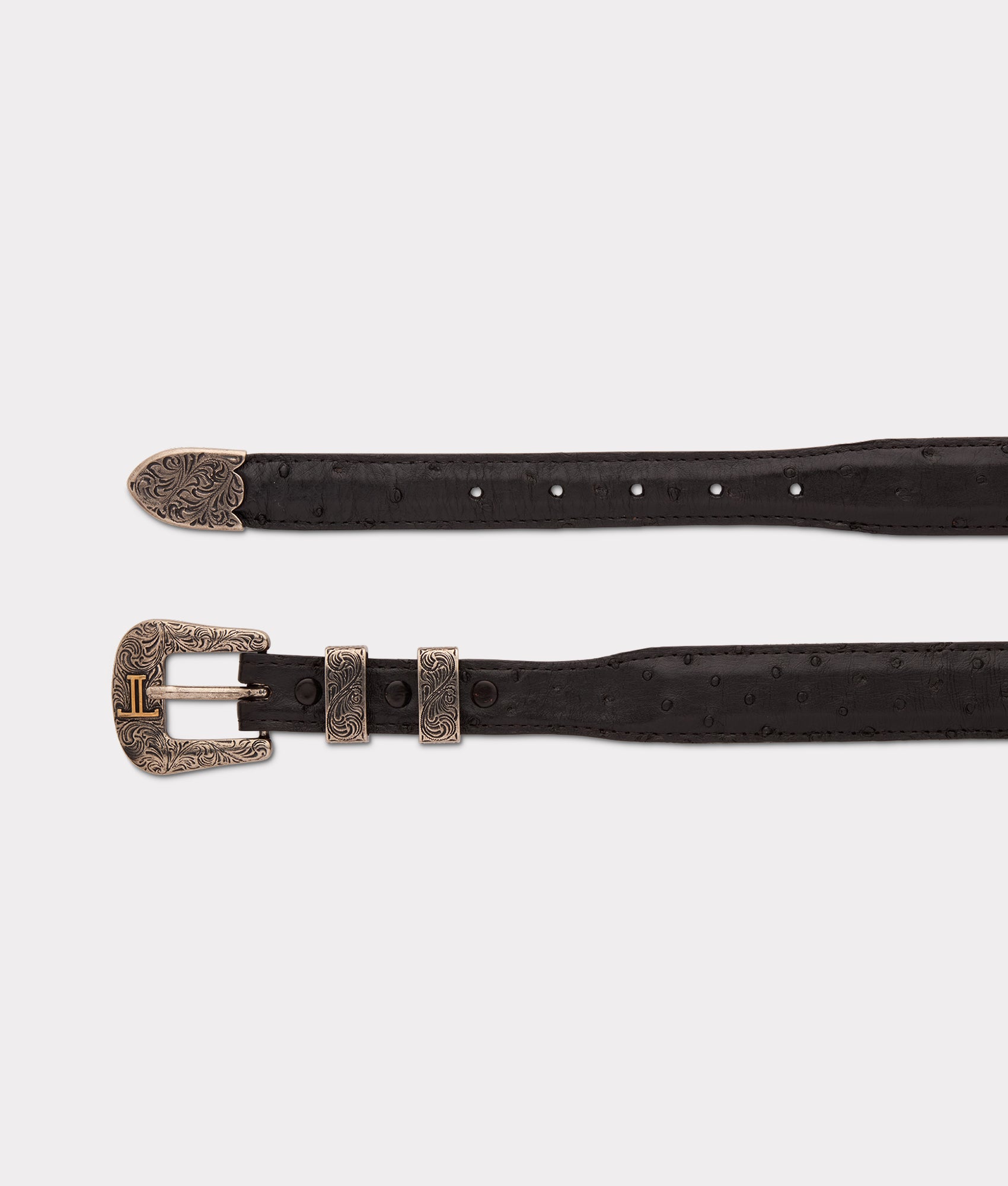 Full Quill Ostrich Tapered :: Black - Image 5