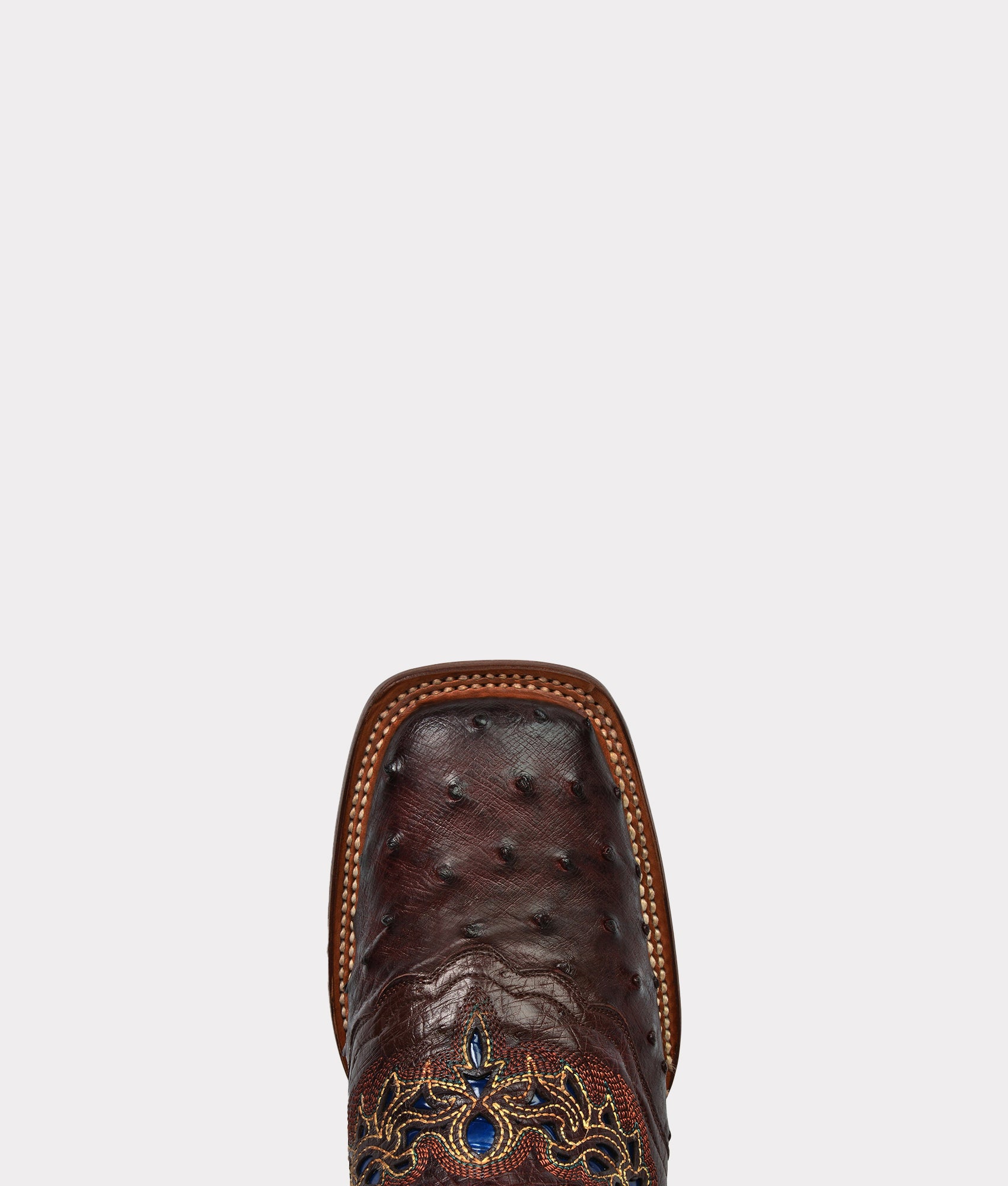 Amberlyn :: Sienna + Navy - Image 3