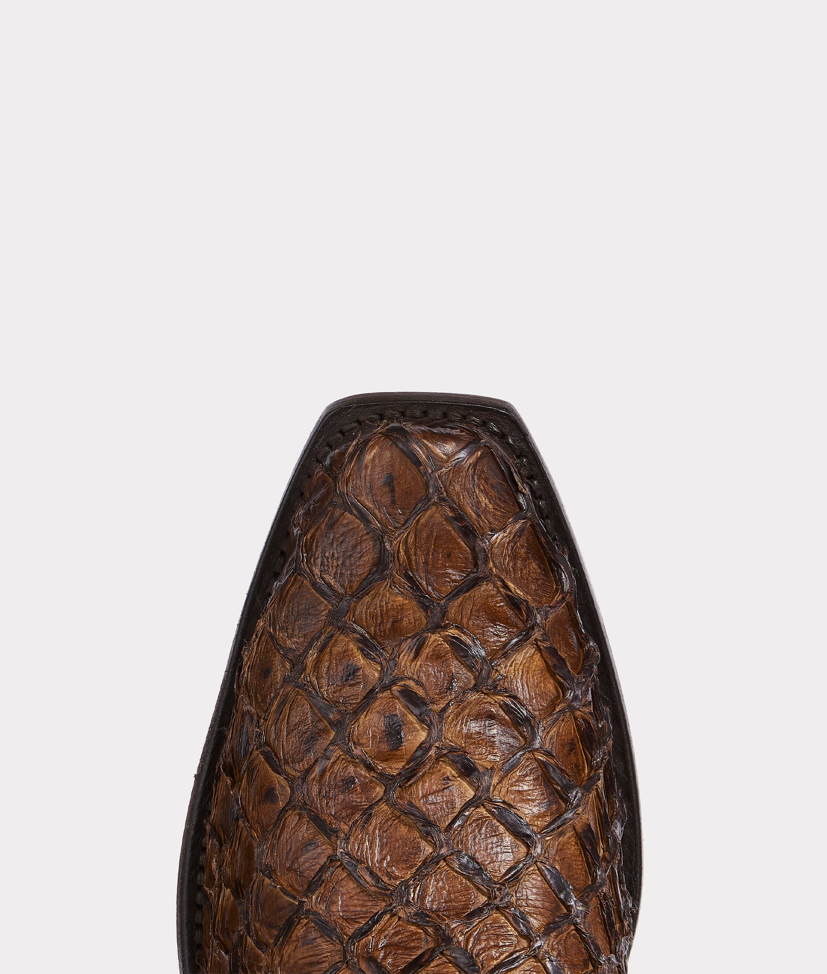 Narcisso :: Cafe Brown - Image 7